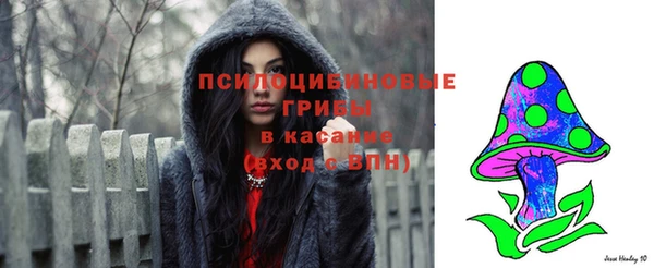 ECSTASY Няндома