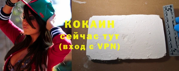 прущие крисы Новозыбков