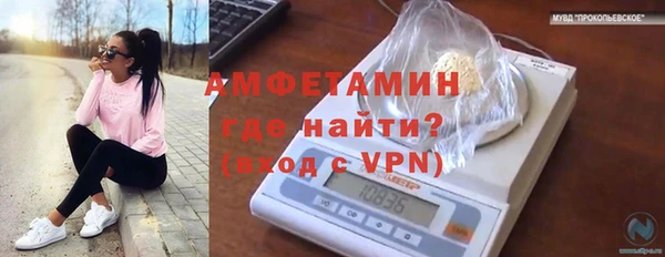 мяу мяу мука Новокубанск