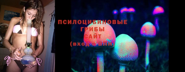 мяу мяу мука Нягань