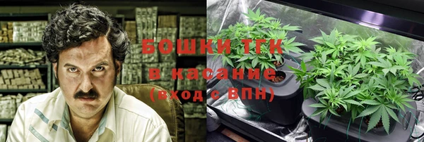 прущие крисы Новозыбков