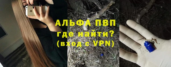 прущие крисы Новозыбков