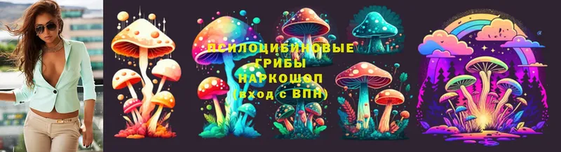 Псилоцибиновые грибы MAGIC MUSHROOMS  наркошоп  Уржум 